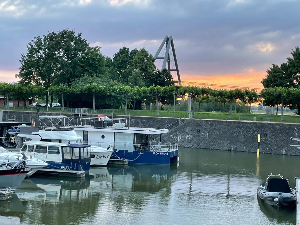 a group of boats are docked in the water at Hausboot Iron Franz- Entspannung auf dem Wasser in Düsseldorf