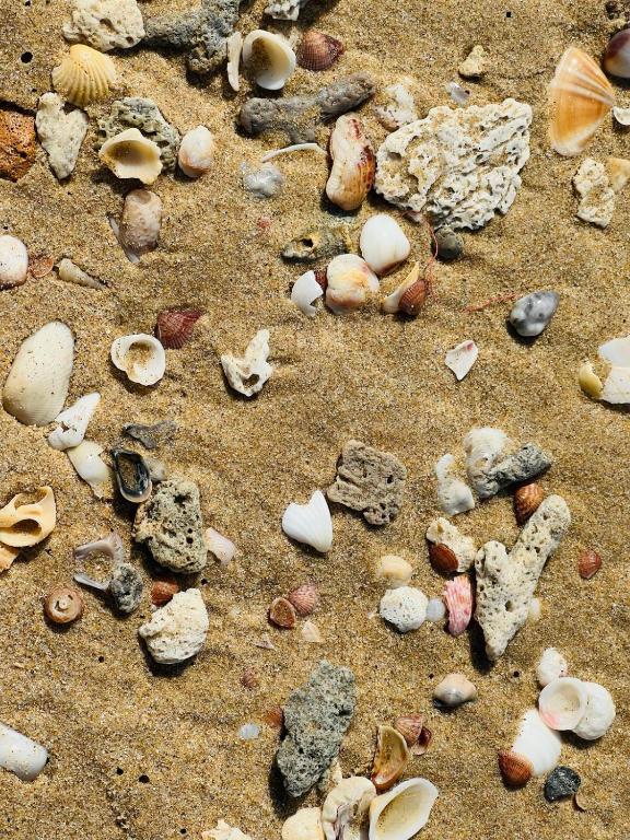 Fotografie z fotogalerie ubytování Sulashika Beach House v destinaci Kandakuli