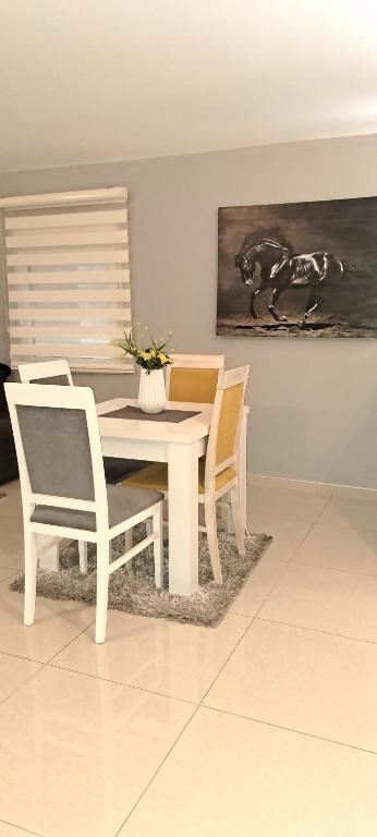 Apartmani Stijepovic - 8