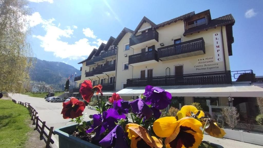 Hotel Olimpic - Housity