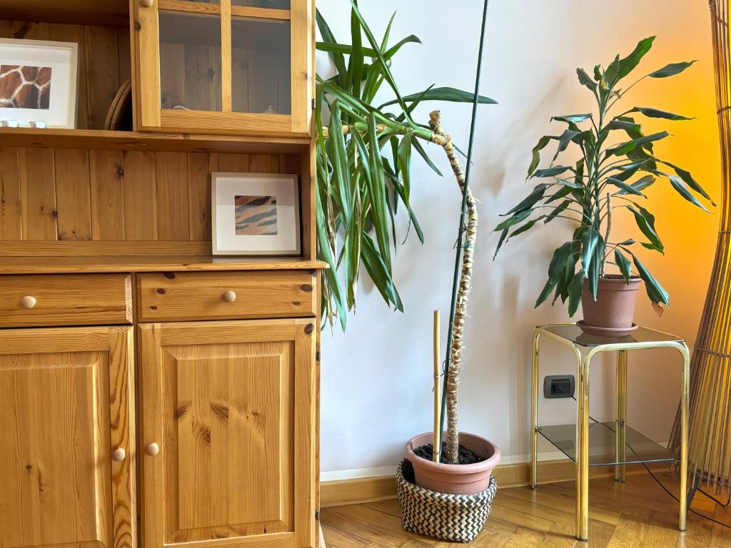 Fotografia z galérie ubytovania Flat Belpoggio 13 v destinácii Trieste