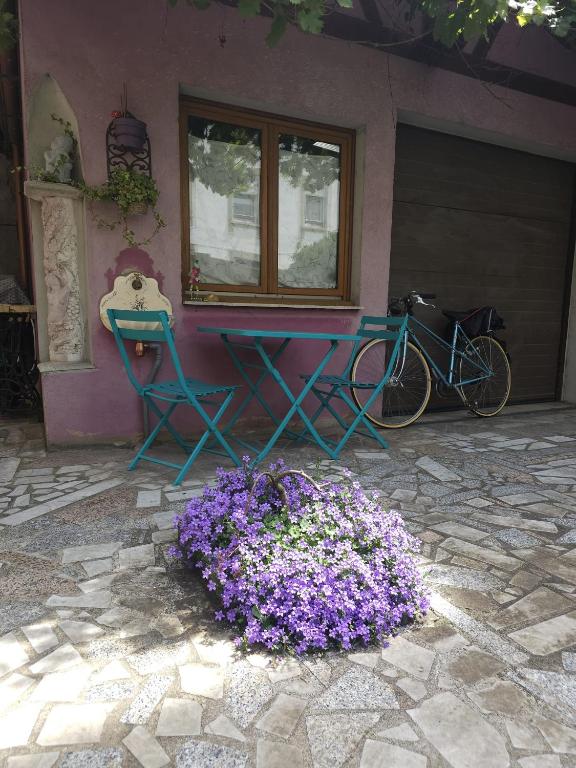 une maison avec deux chaises, une table et des fleurs dans l'établissement Petit Paradis Croneuva, à Strasbourg