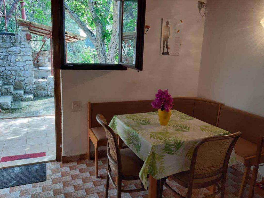 Fotografie z fotogalerie ubytování Apartments in Mali Losinj 14951 v destinaci Mali Lošinj