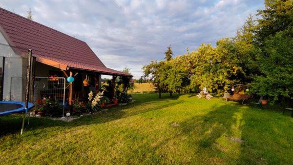 a backyard of a house with a yard with a yard at Domek w Sadzie in Marcinowa Wola