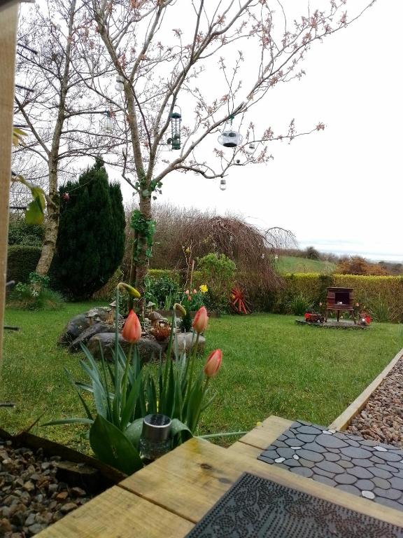 Jardín al aire libre en Robins Rest