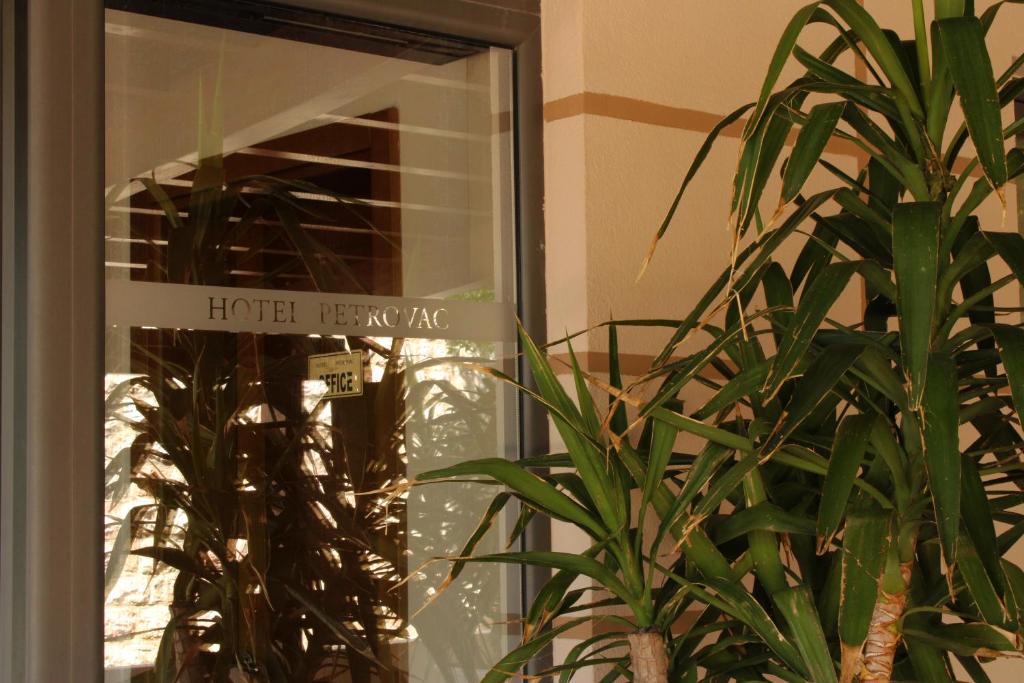 Zahrada ubytování Hotel Petrovac