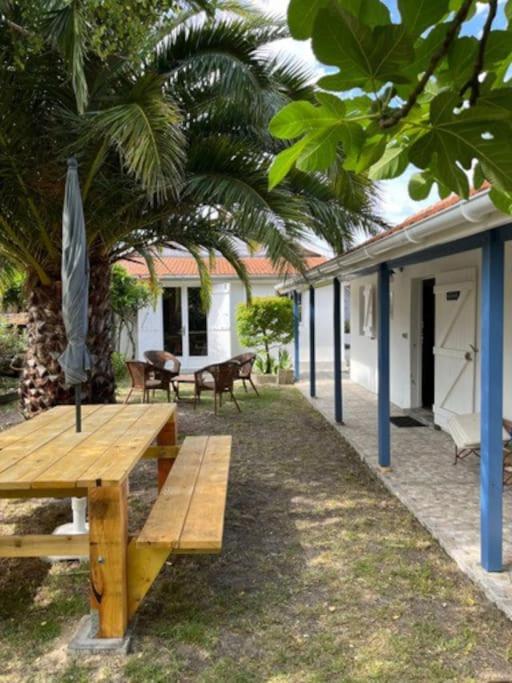 un banc en bois devant une maison plantée de palmiers dans l'établissement Typique maison de pêcheur, au Le Verdon-sur-Mer