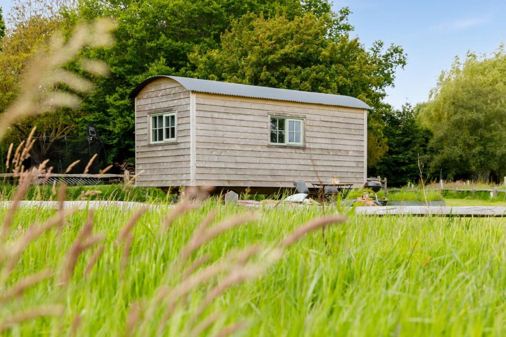 a small building in a field of tall grass at The Witterings Shepherds’ Hut in West Wittering