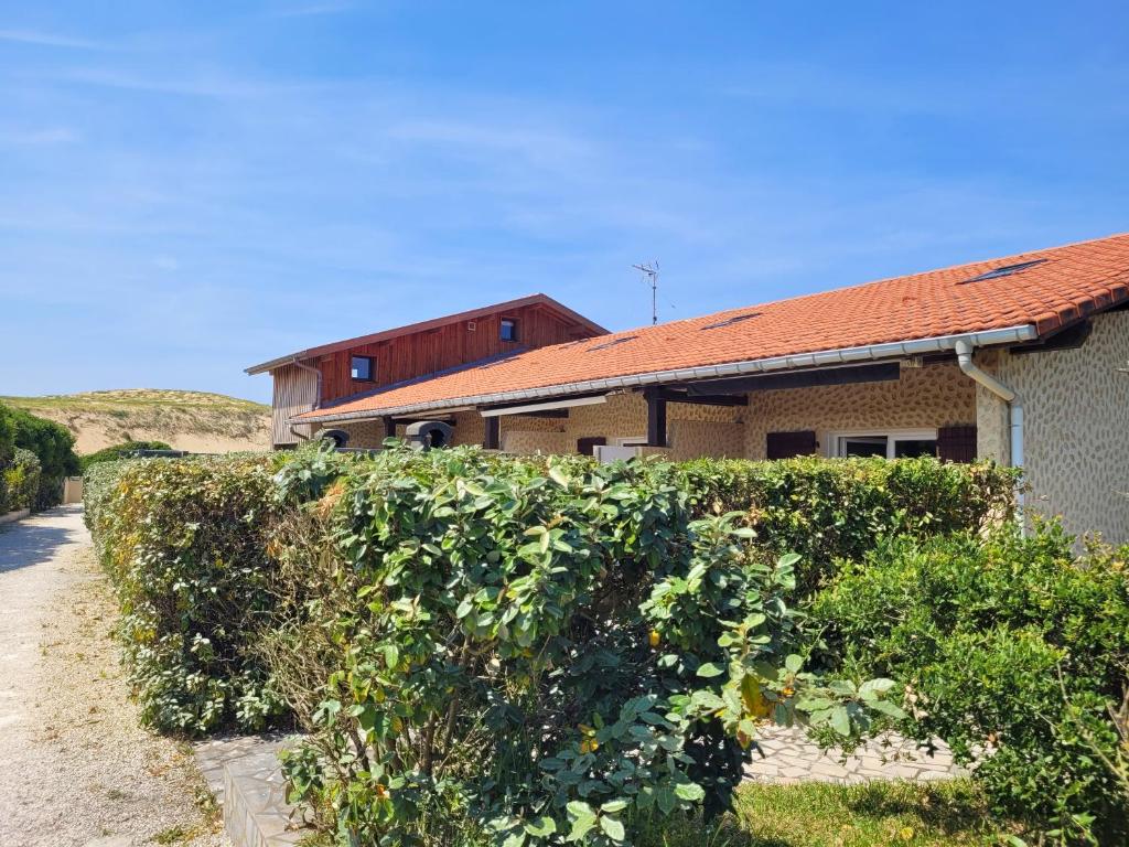 une haie devant une maison à côté d'un bâtiment dans l'établissement DUNES - Villa Patio Avec Jardin - proche Plage de la Gravière, à Soorts-Hossegor