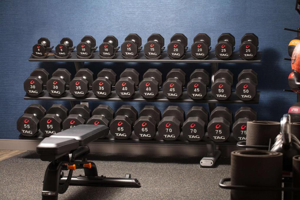 Fitness centrum a/nebo fitness zařízení v ubytování Hampton Inn Phoenix Airport North