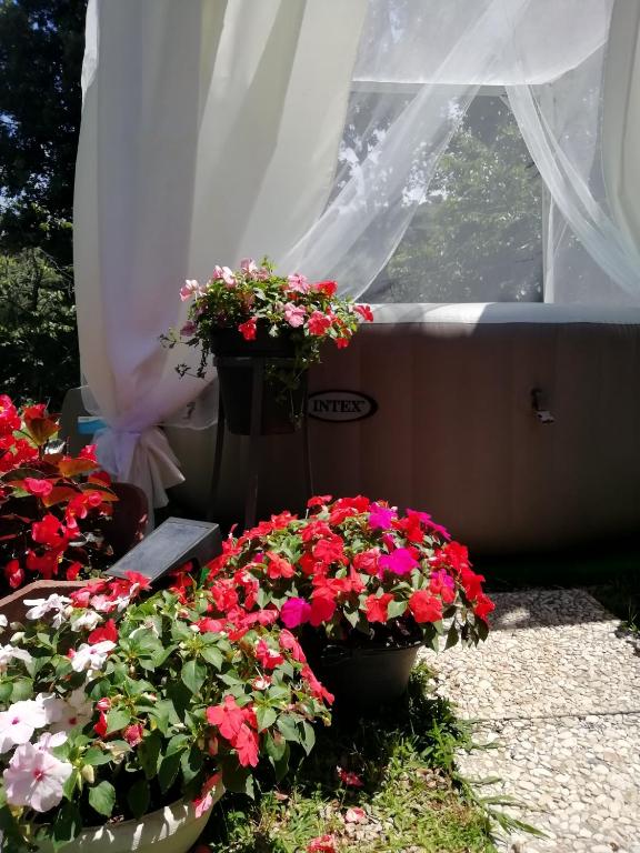 Zahrada ubytování Il cielo in una stanza