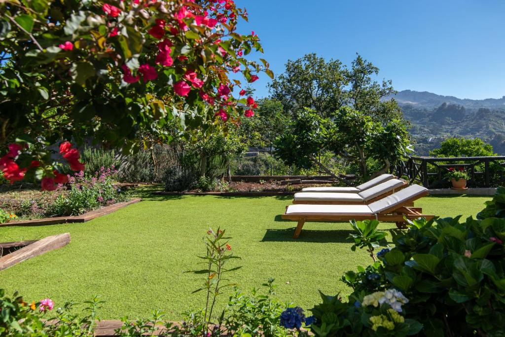 A garden outside Villa Arrebol Azul