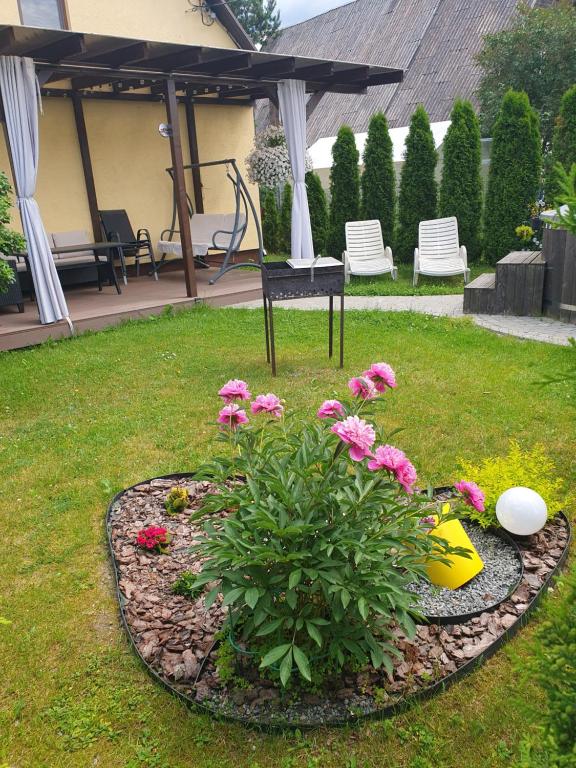 un giardino con fiori rosa nell'erba di Лора a Lapmežciems