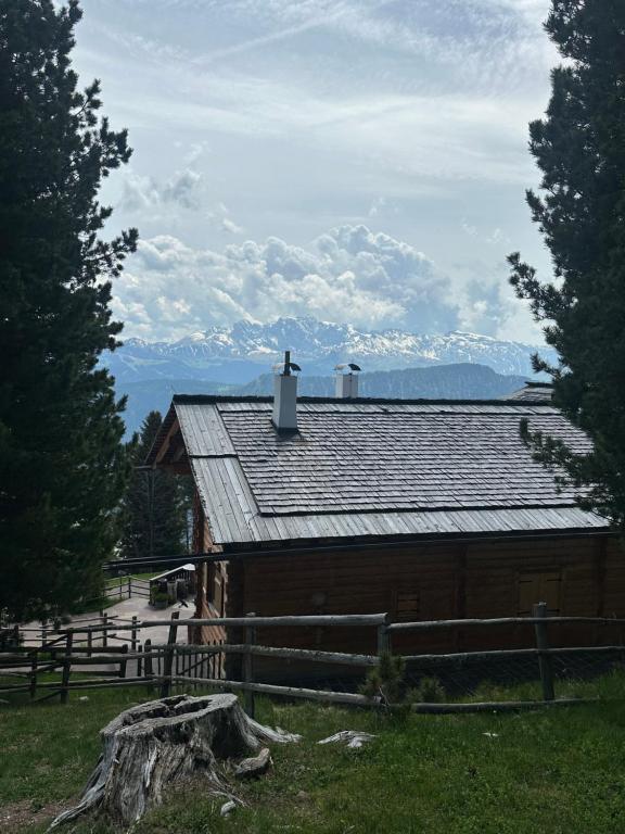 Příroda nedaleko bed and breakfast