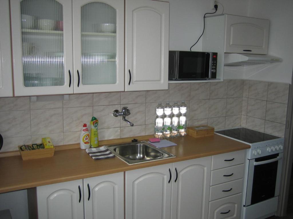 Kuchyň nebo kuchyňský kout v ubytování Apartmány Polepy