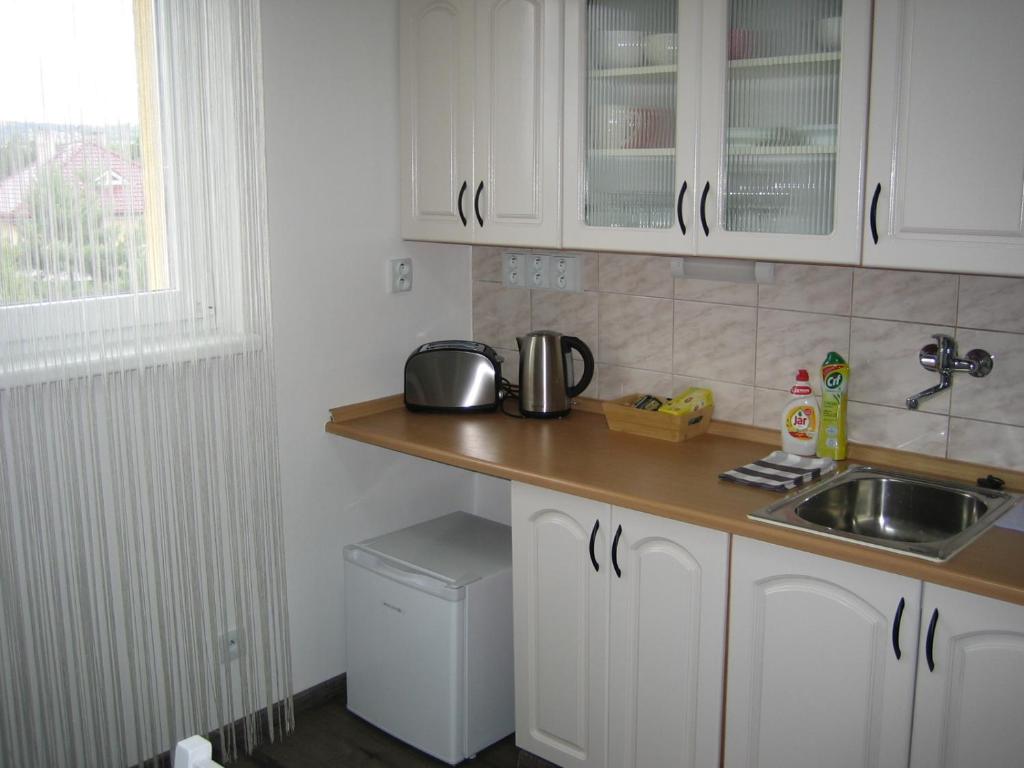 Kuchyň nebo kuchyňský kout v ubytování Apartmány Polepy
