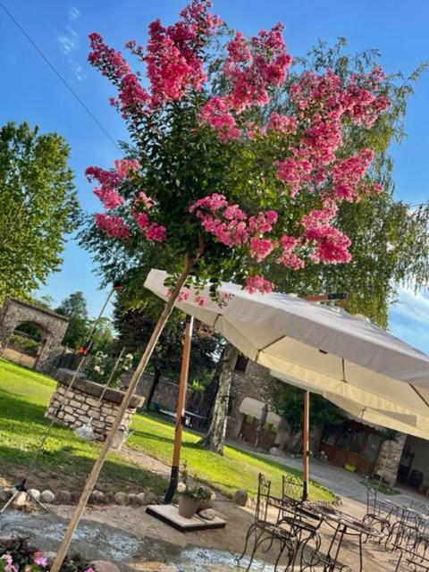 Zahrada ubytování Guesthouse Corte Marzago - adults friendly