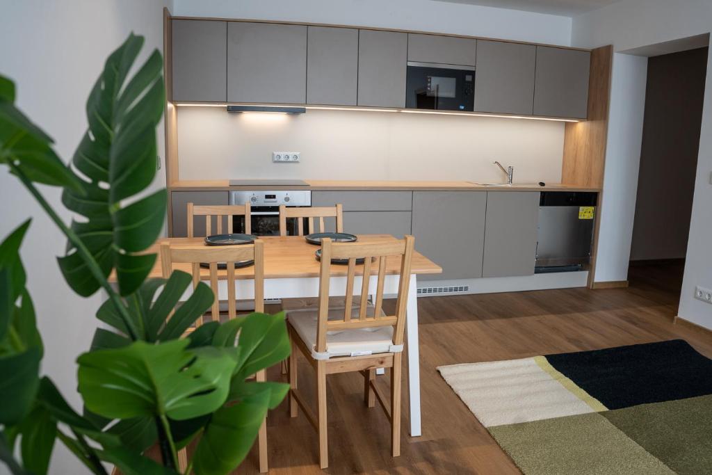 Kuchyň nebo kuchyňský kout v ubytování DIAMOND Luxury Apartments