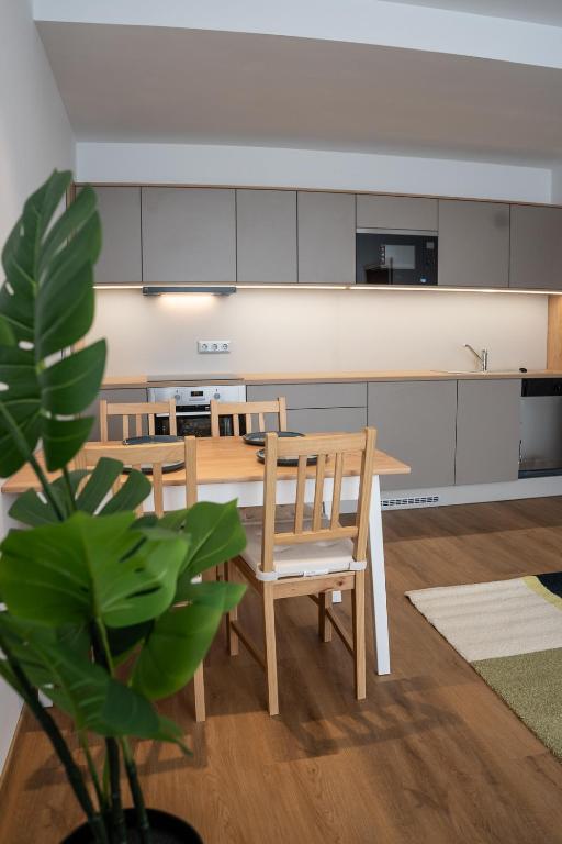 Kuchyň nebo kuchyňský kout v ubytování DIAMOND Luxury Apartments