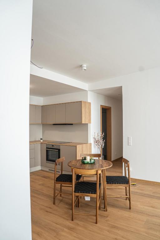Kuchyň nebo kuchyňský kout v ubytování DIAMOND Luxury Apartments