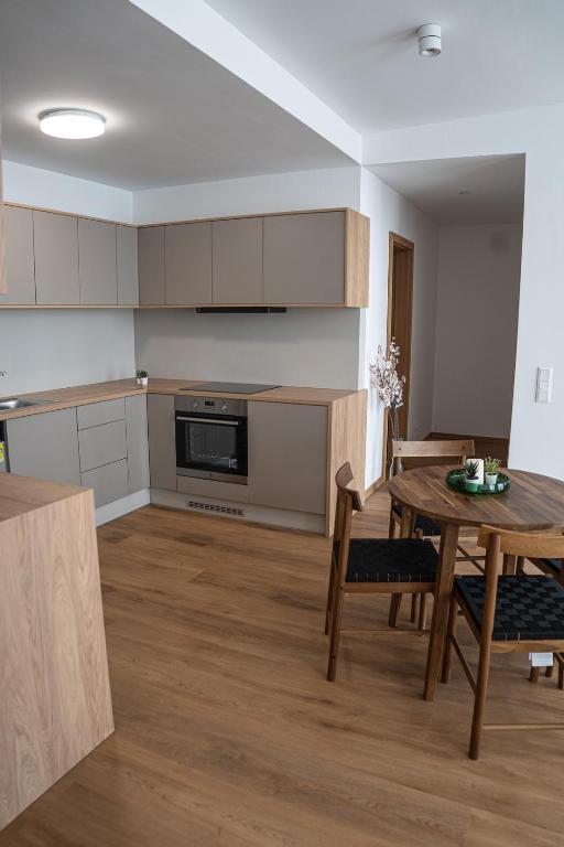 Kuchyň nebo kuchyňský kout v ubytování DIAMOND Luxury Apartments