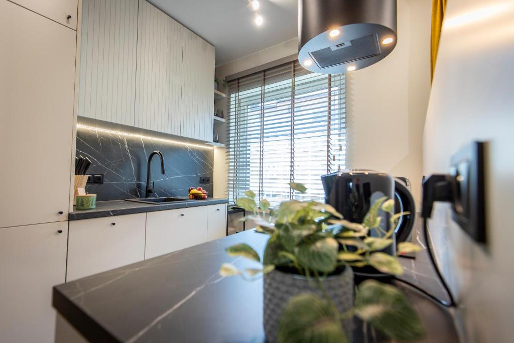 Navigare Apartments - 1