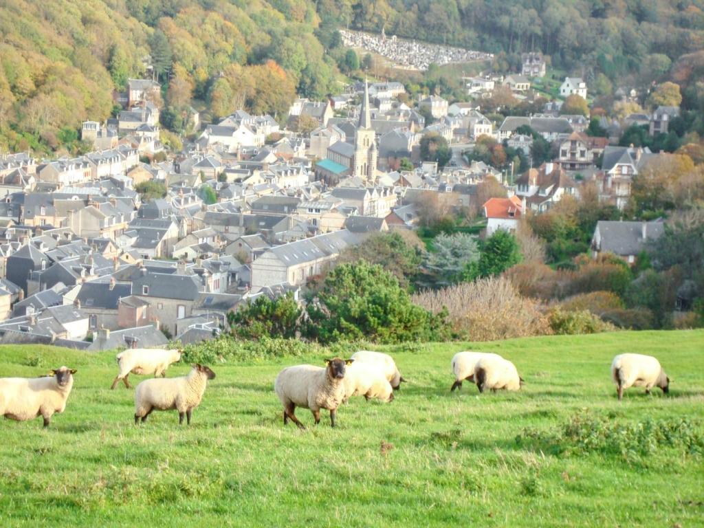 a herd of sheep grazing in a field with a city at Maison d&#39;une chambre avec jardin amenage et wifi a Saint Leonard a 1 km de la plage in Saint-Léonard