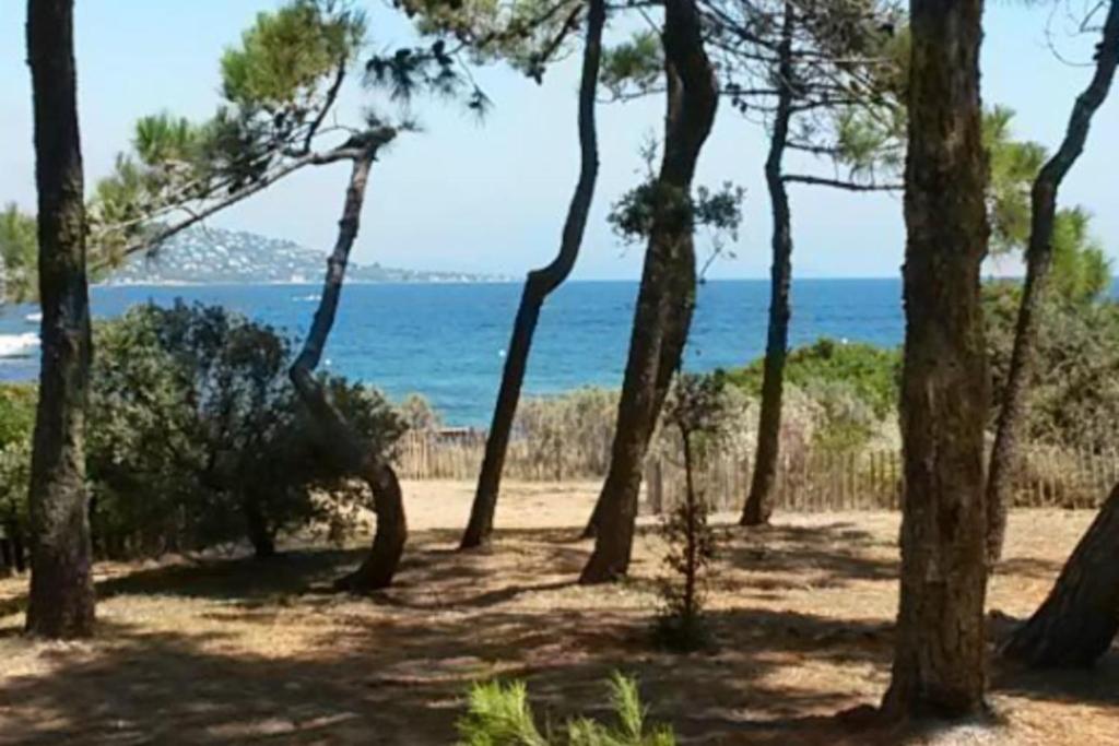 - une vue sur l'océan depuis une plage arborée dans l'établissement Beautiful apartment in the center of town, à Sainte-Maxime