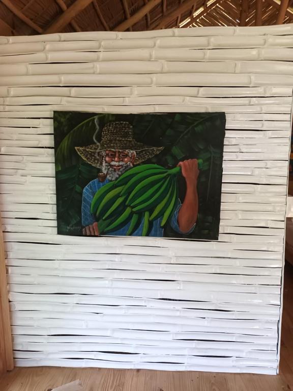 Fotografie z fotogalerie ubytování Samo Eco Lodge v destinaci Las Terrenas