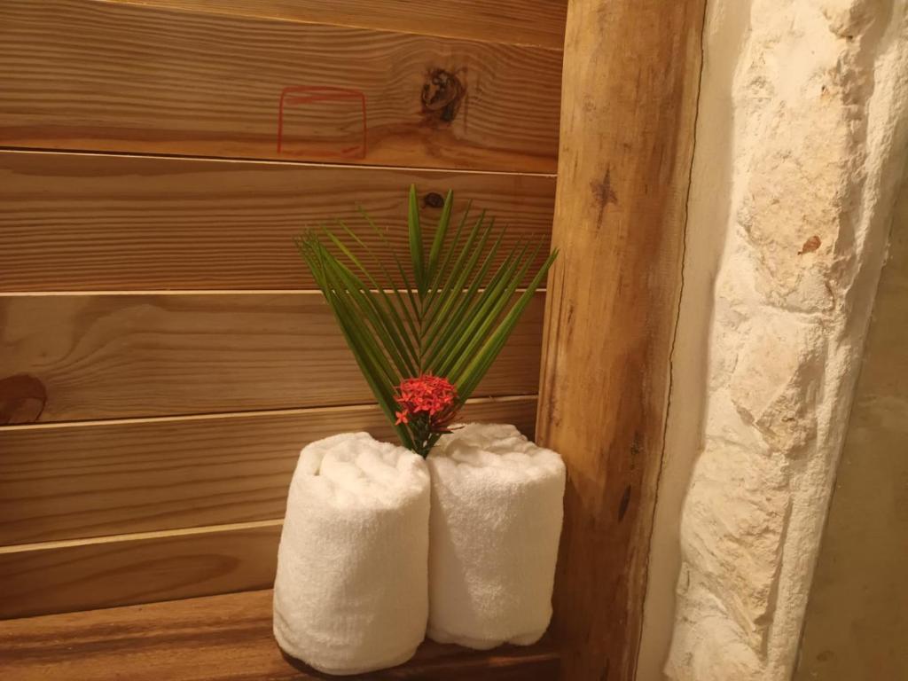 Fotografie z fotogalerie ubytování Samo Eco Lodge v destinaci Las Terrenas