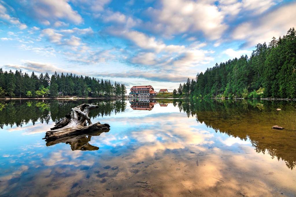 ein Spiegelbild eines Hauses in einem See mit Bäumen in der Unterkunft Berghotel Mummelsee in Seebach