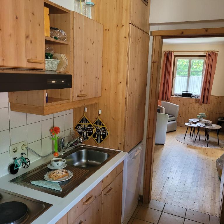Kuchyň nebo kuchyňský kout v ubytování Haus Waldviertel am Herrensee