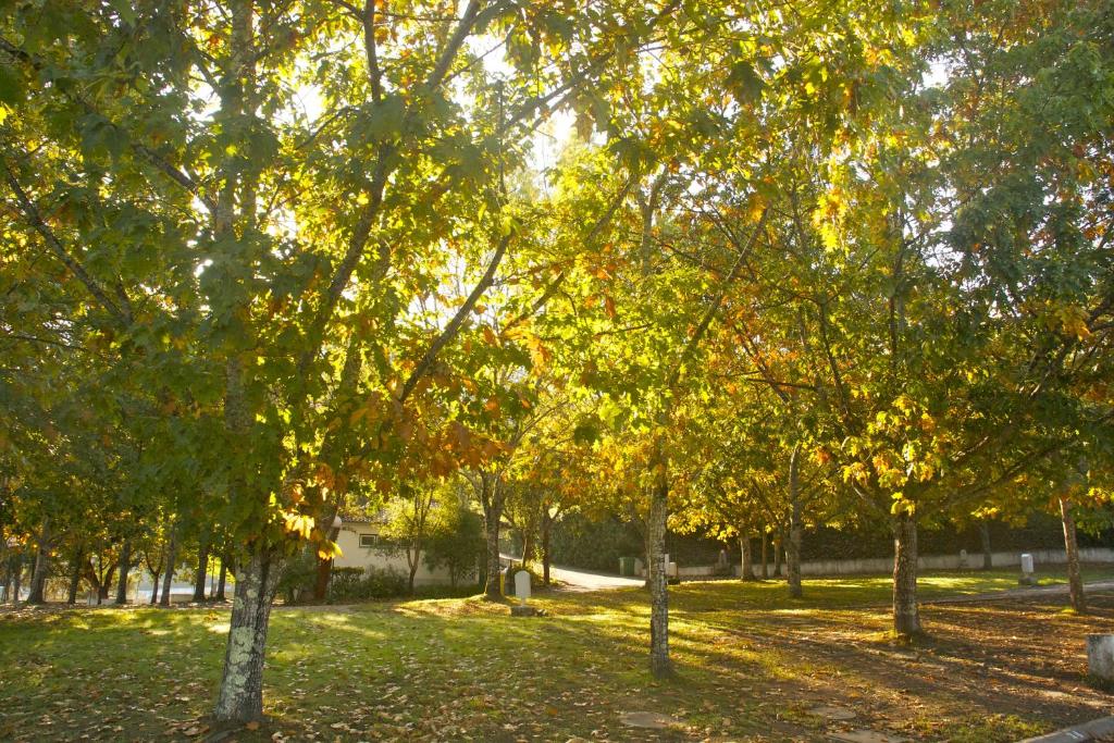 Zahrada ubytování Góis Camping