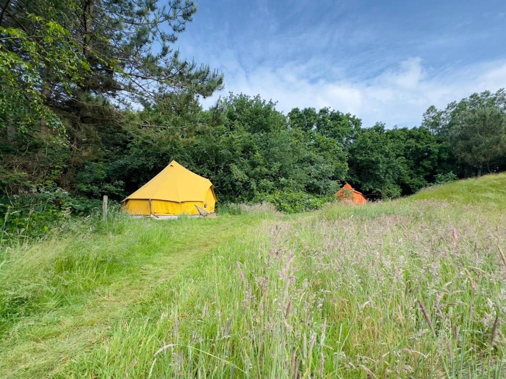 Příroda nedaleko luxury tent