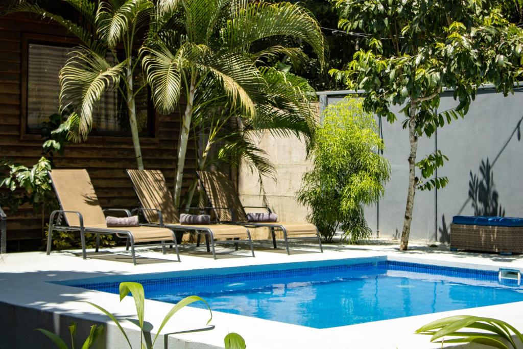 a pool with two lounge chairs and a palm tree at Casa Tulipan - Private 3bd, AC, Pool, Big Garden w' BBQ in Puerto Viejo