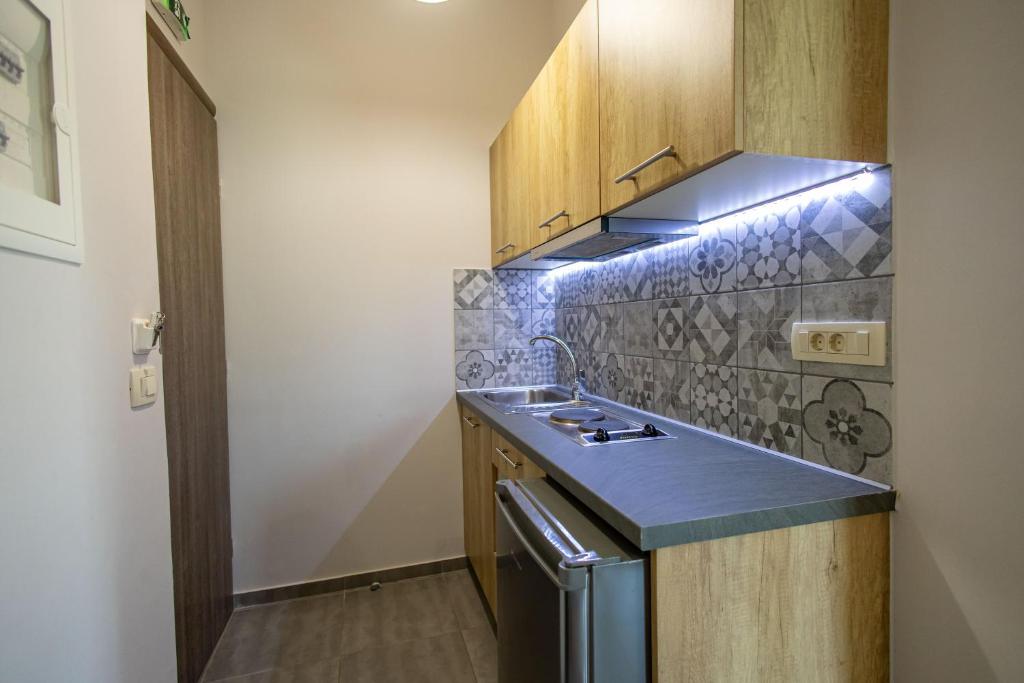 Kuchyň nebo kuchyňský kout v ubytování Aurora Premium Hospitality
