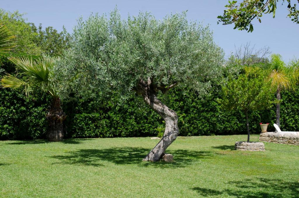 Zahrada ubytování Antica Dimora Arancio Val Di Noto 10 minuti dal mare Free Parking