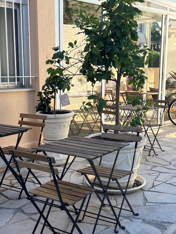 Hôtel Gallia Cannes - Resim 27