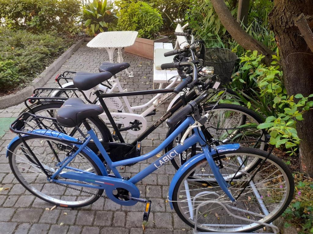 Jízda na kole v ubytování Meuble' 21 di Anna nebo okolí