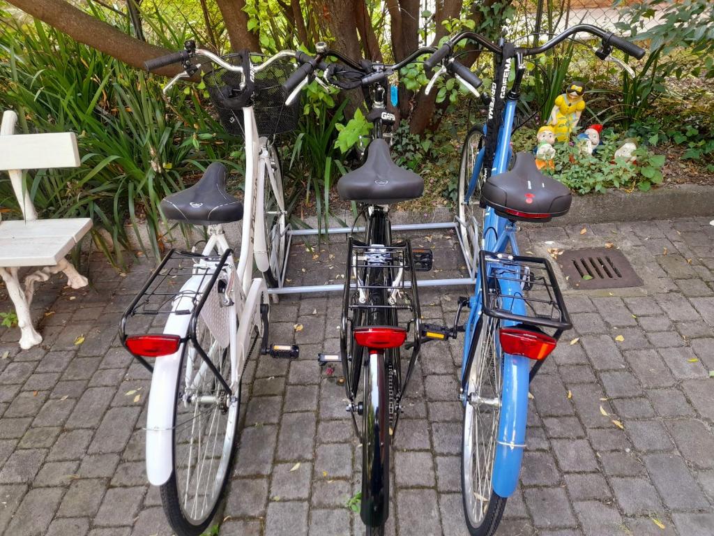 Jízda na kole v ubytování Meuble' 21 di Anna nebo okolí