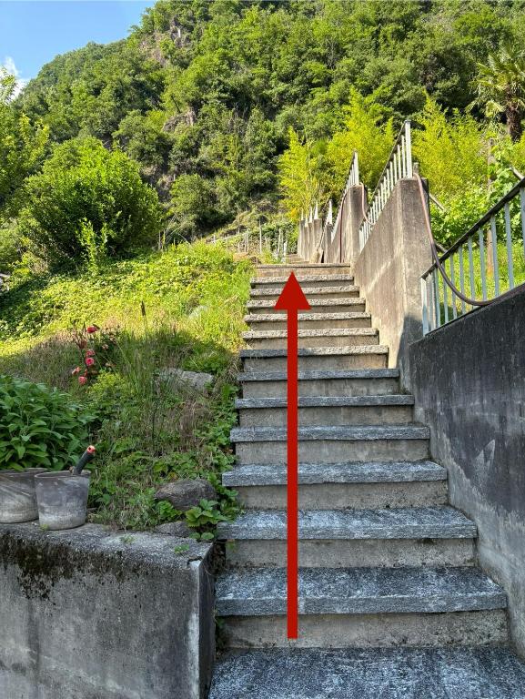 Příroda nedaleko apartmánu