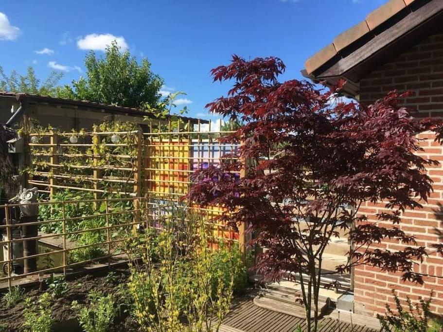 a garden with a fence and a tree at Le petit Nid a Coxyde in Koksijde