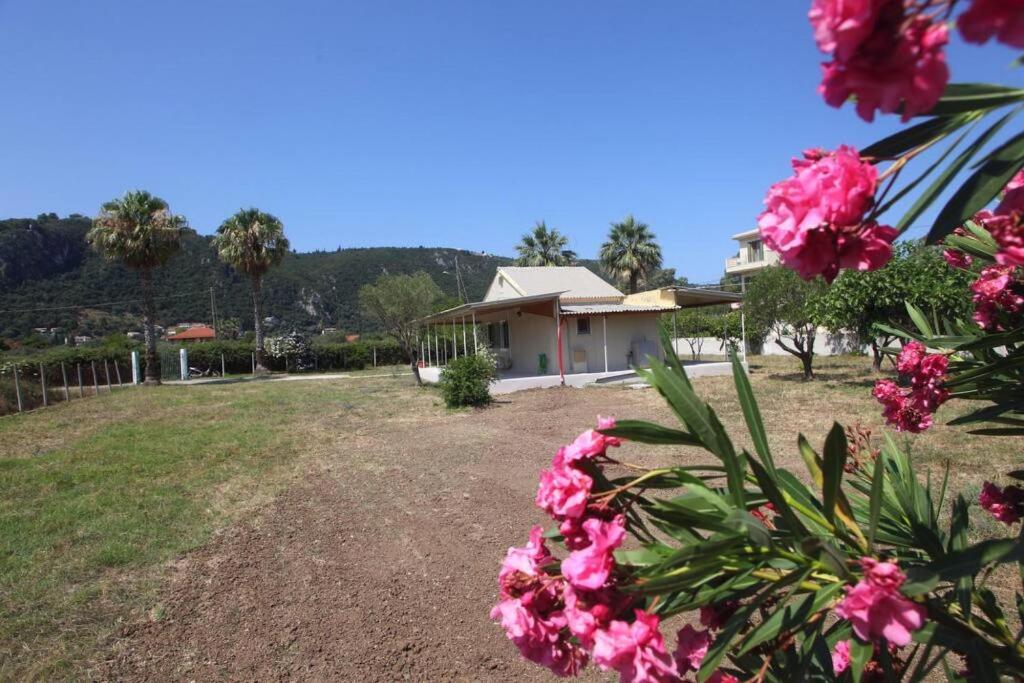 Vonkajšia záhrada v ubytovaní Olga Home Agios Ioannis Lefkada - Lefkada BnB