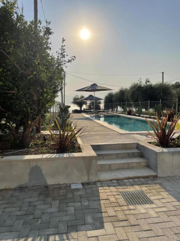 blue symphony suites and apartments - 8