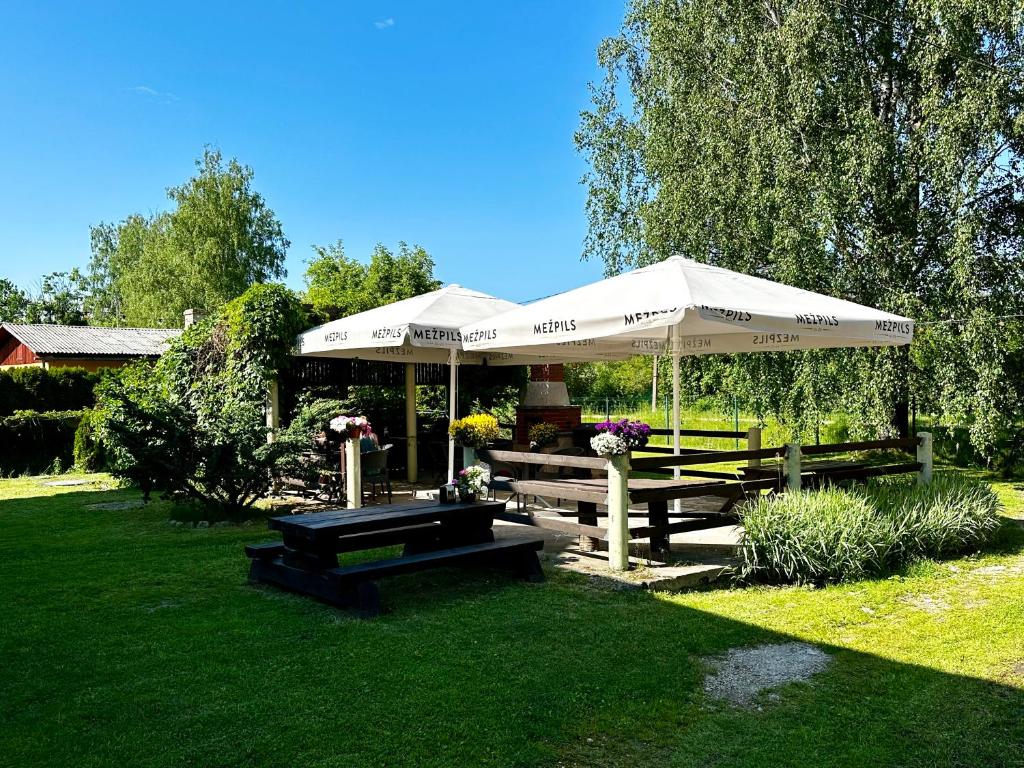 Zahrada ubytování Villa Gāles Hotel