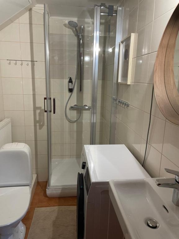 a bathroom with a shower and a sink and a toilet at EVA Studio in Palanga