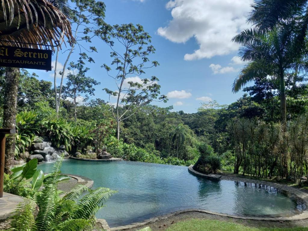 een zwembad in het midden van een rivier in een bos bij Sarapiquis Rainforest Lodge in Sarapiquí