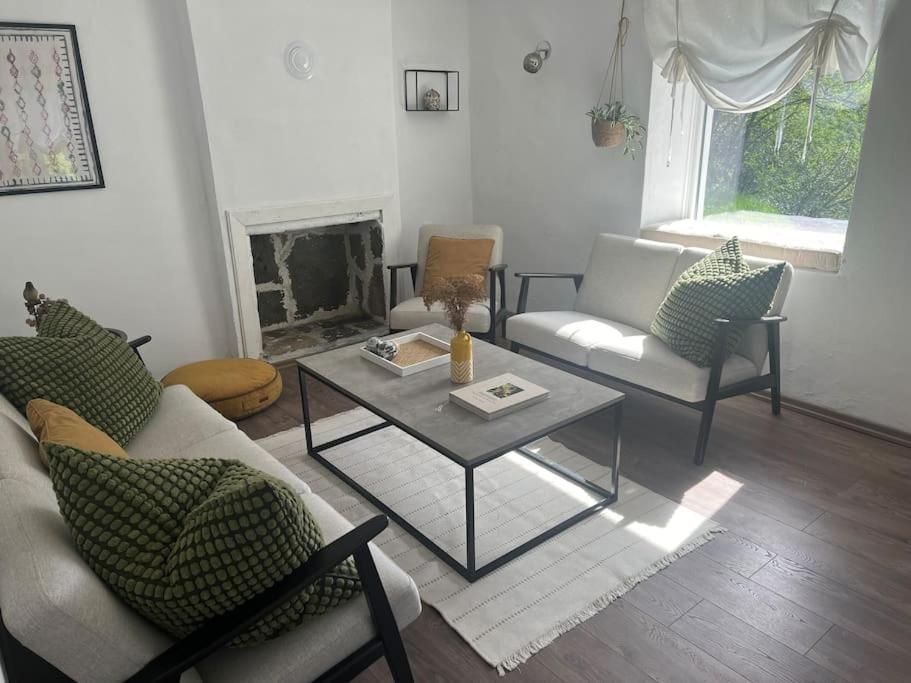 Et opholdsområde på Rodopi Mountain Village House