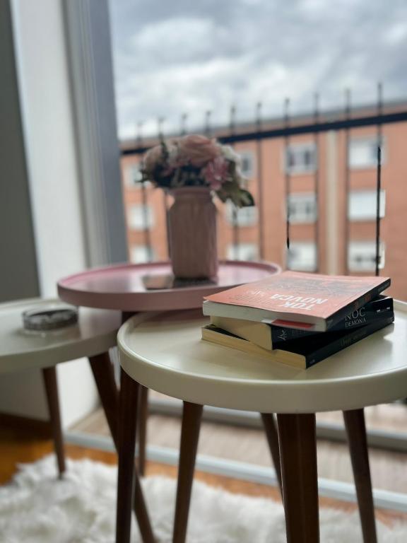 Knihovna v apartmánu
