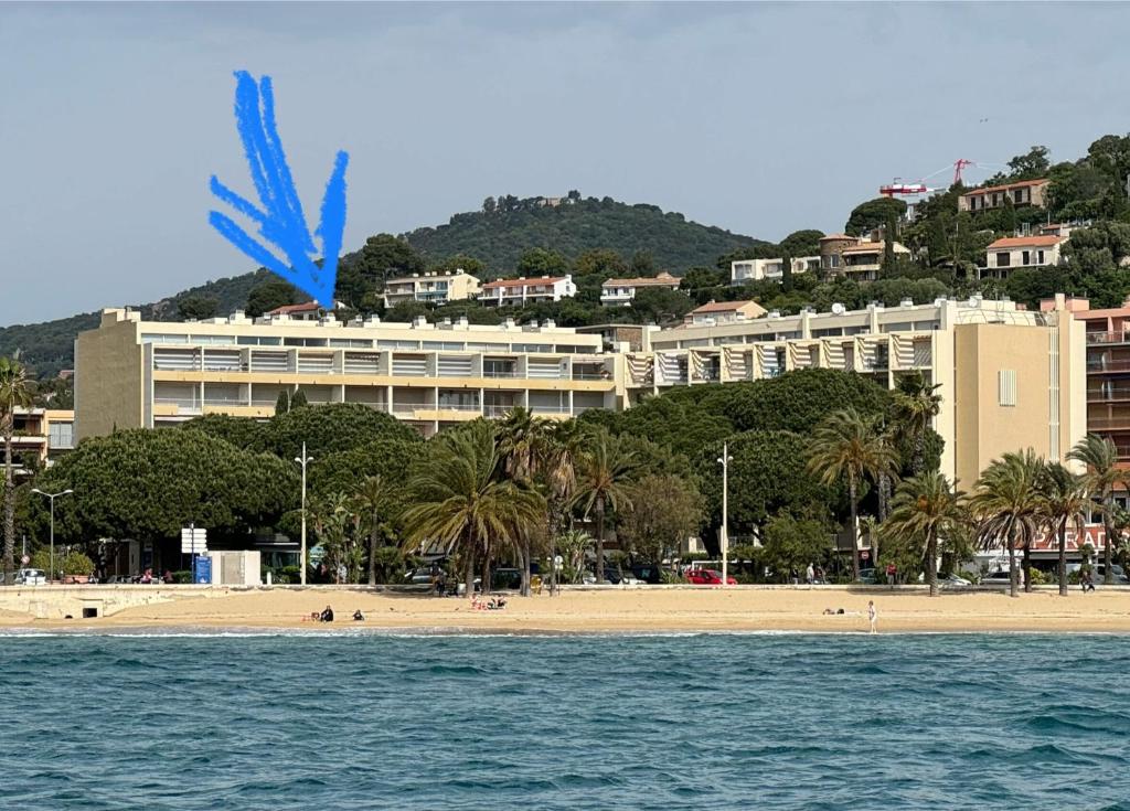 ル・ラヴァンドゥーにあるCosy studio devant la mer Lavandouの海岸と建物の上を飛ぶ凧